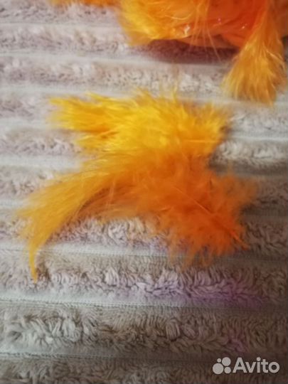 Перья для творчества