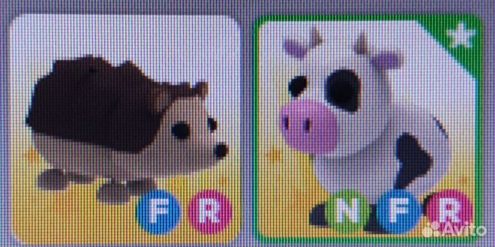 Петы адопт ми