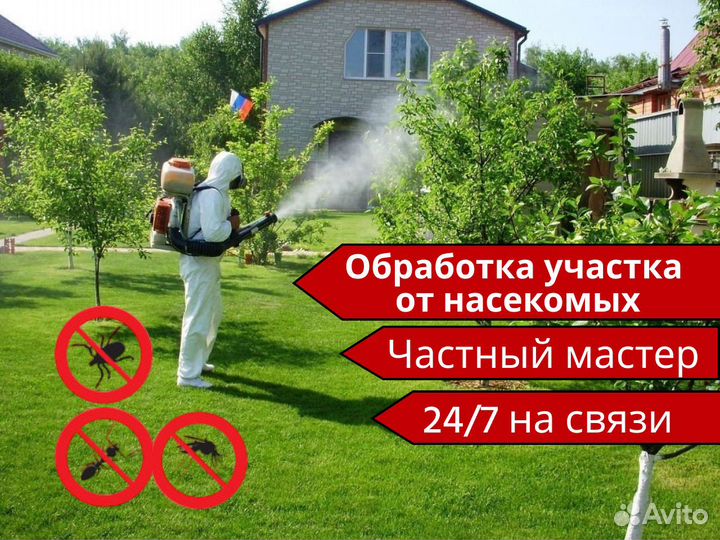 Обработка от клещей/уничтожение насекомых