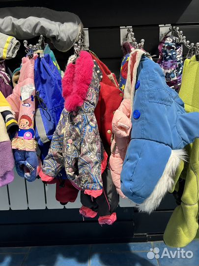 Одежда для собак