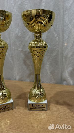 Кубок спортивный