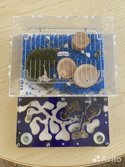 Муравьиная ферма без муравьев б/у