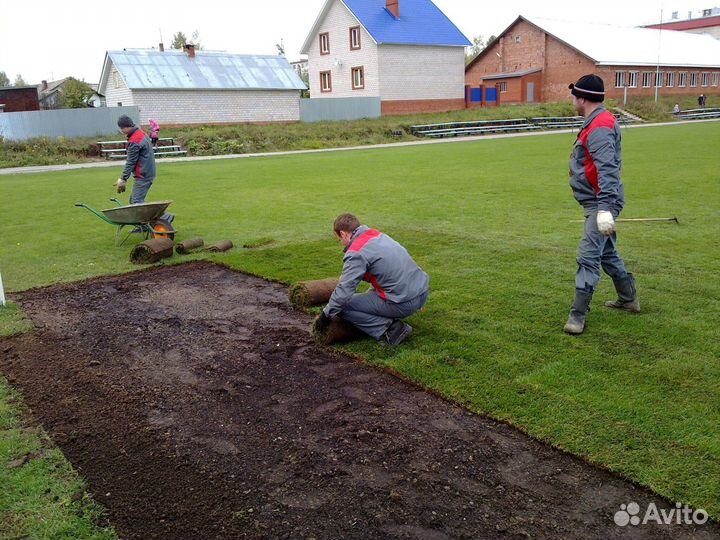 Укладка рулонных газонов ключ