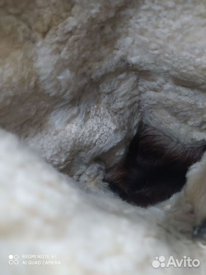 Сапоги яловые тёплые ввс СССР