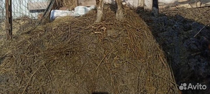 Навоз в мешках