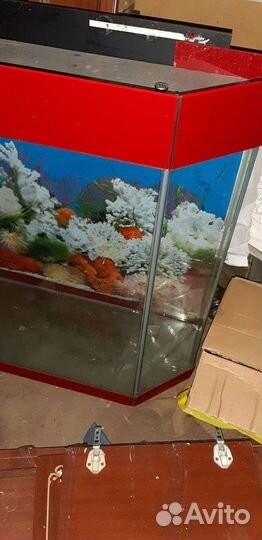 Аквариум