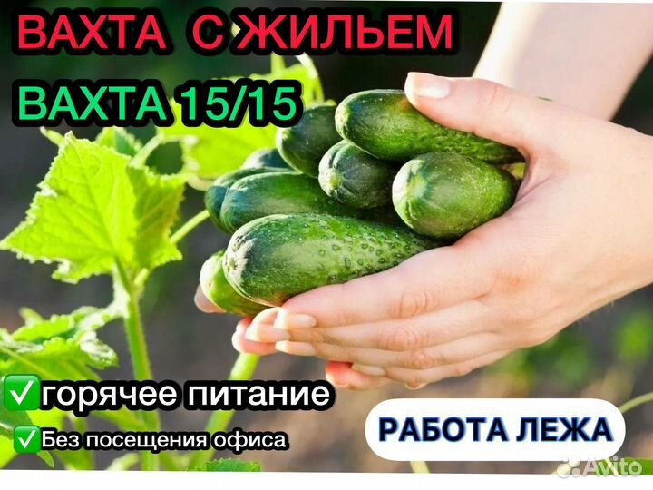 Работа вахта 15 смен лежа уборщик/ца еда+жилье