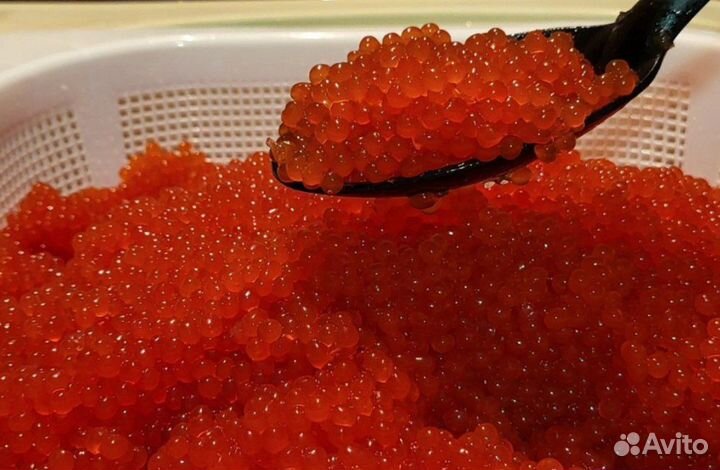 Икра от производителя