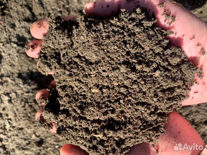 Торф, перегной и плодородная почва - смесь 25 л