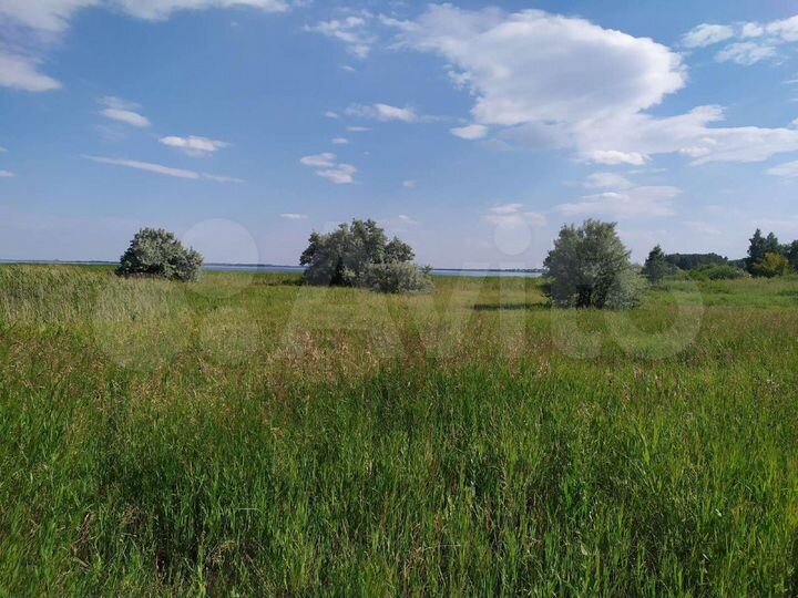 Участок 80 сот. (СНТ, ДНП)