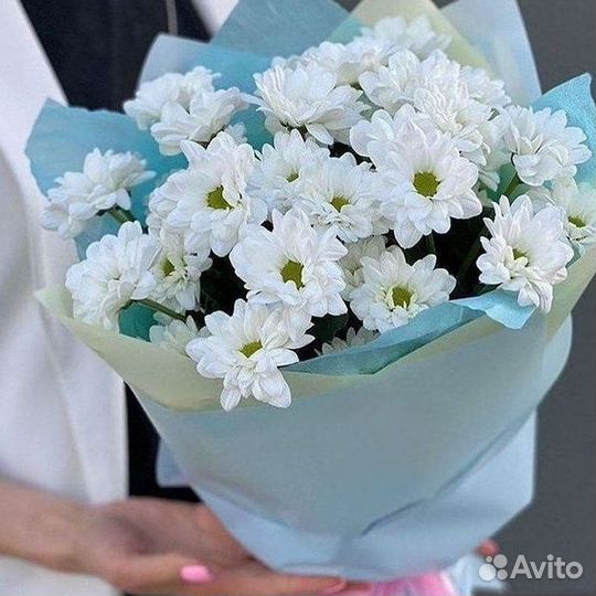 Хризантема Букет хризантем Доставка