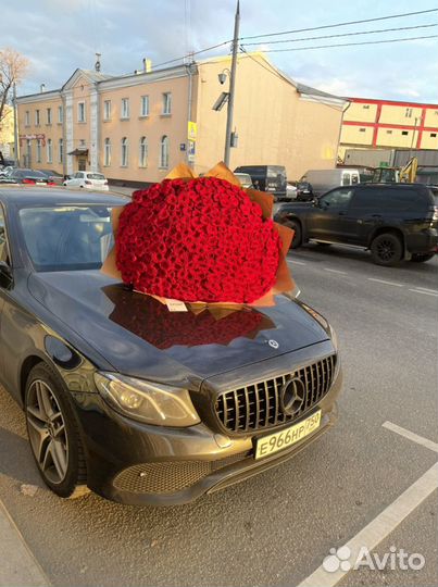 Роза букет цветы 101шт 501шт