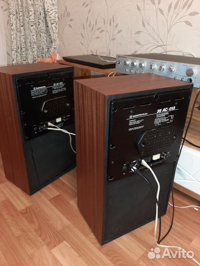 Колонки радиотехника s70