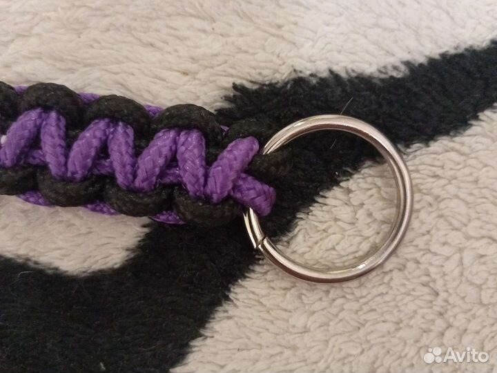 Ошейник для собак