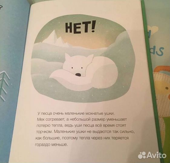 Пьют ли лягушки горячее какао Вилли Винки