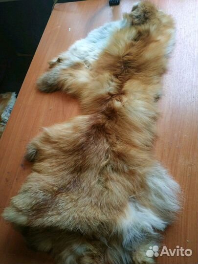Шкура лисы,мех, воротник из лисы