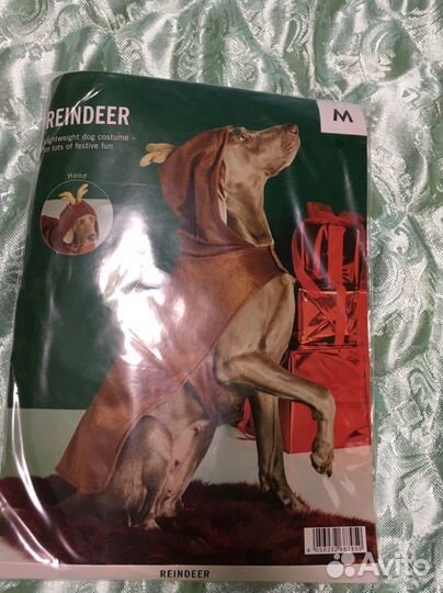 Новый новогодний костюм для собаки