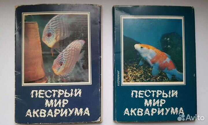 Открытки Пёстрый мир аквариума