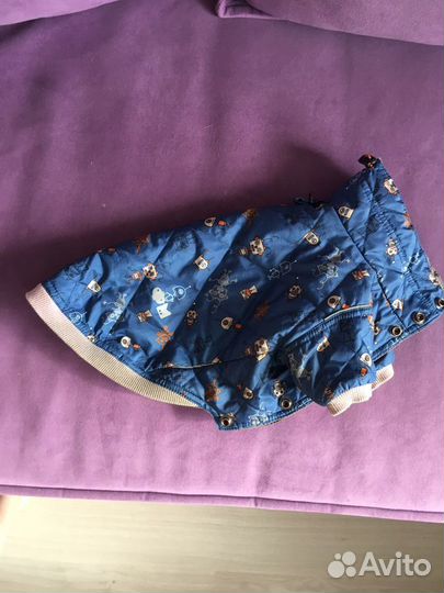 Куртка для маленькой собаки