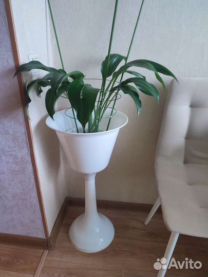 Горшок напольный