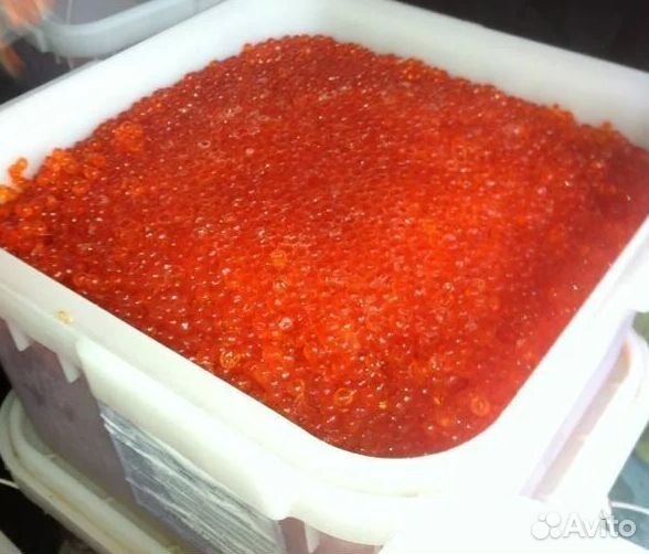 Красная икра август 2023 оптом и мелким оптом