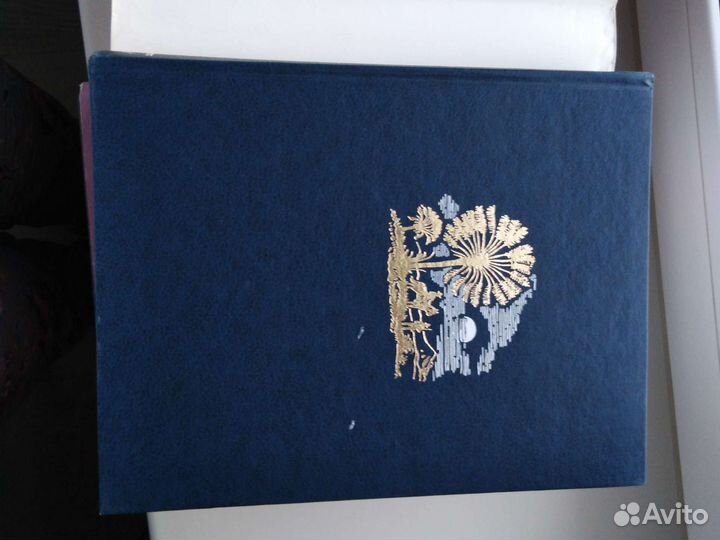 Энциклопедия для детей