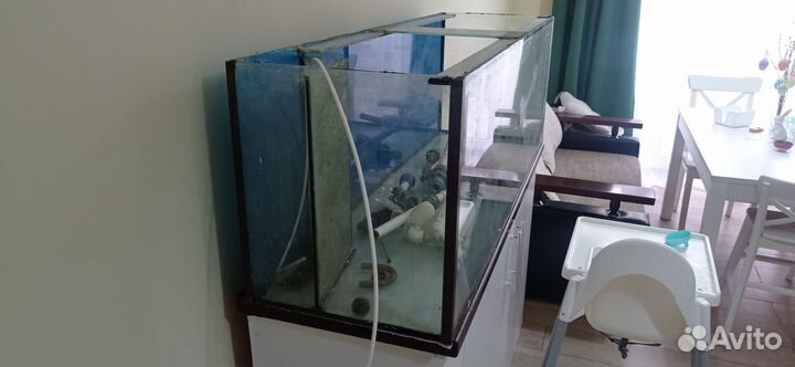 Аквариумистика