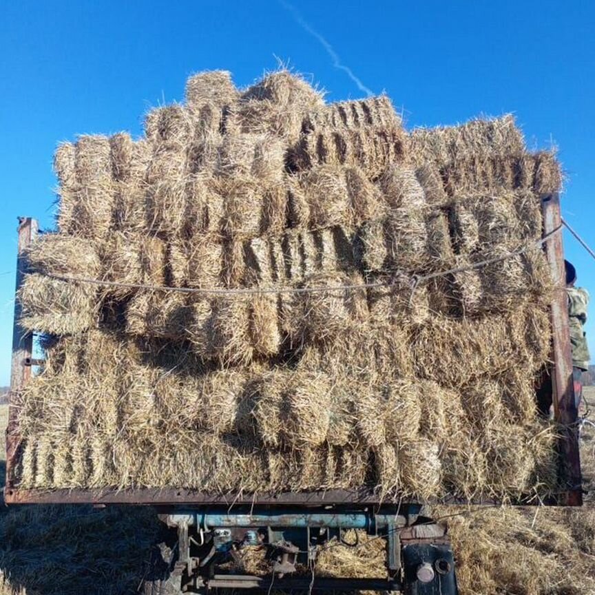 Солома в тюках