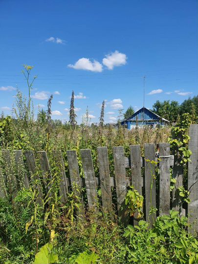 Дом 26,7 м² на участке 16 сот.