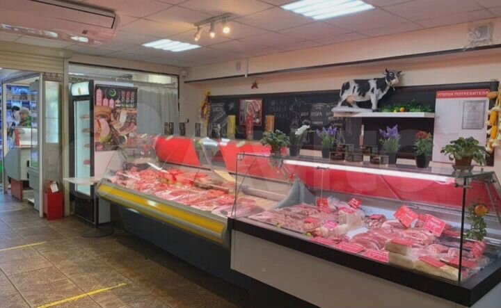 Торговая площадь, 484.2 м²