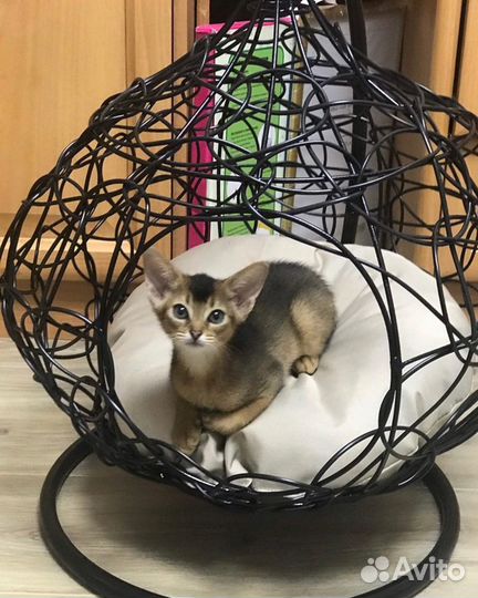 Подвесное кресло кокон для животных