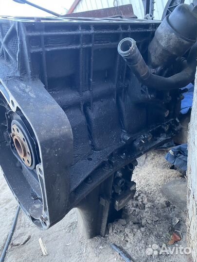 Головка (гбц) w168