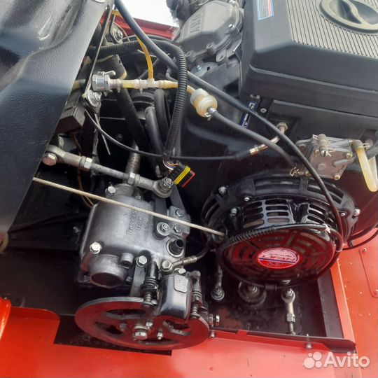 Бурлак- беркут