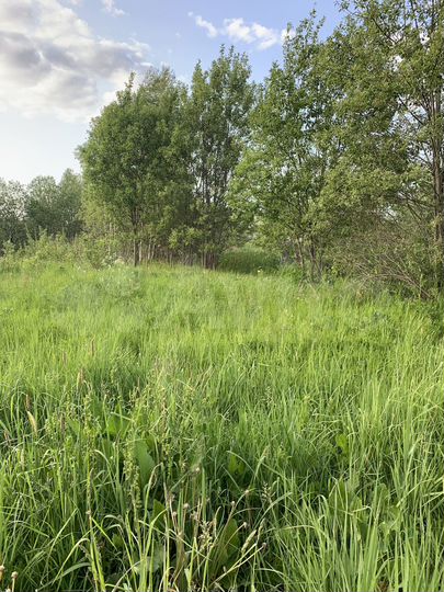 Участок 13,5 сот. (СНТ, ДНП)