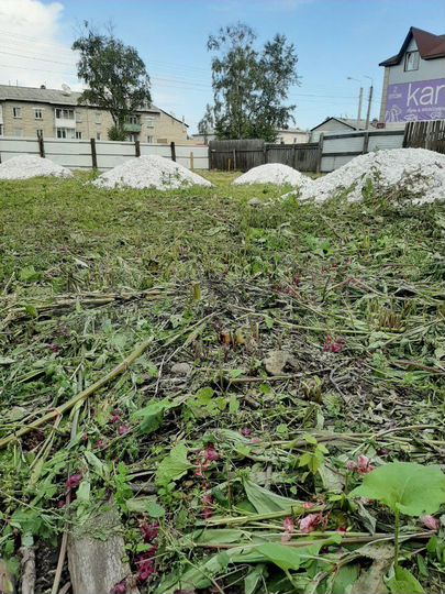 Участок 8 сот. (промназначения)