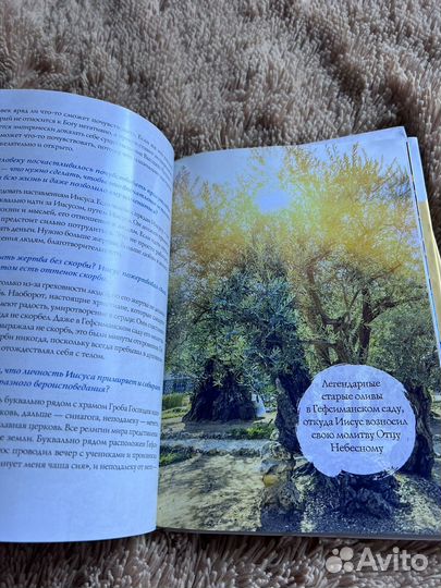 Книги Александра Хакимова