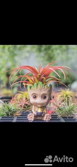 Мини горшочек