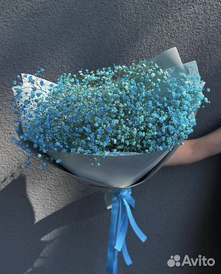 Гипсофила цветная в букете доставка