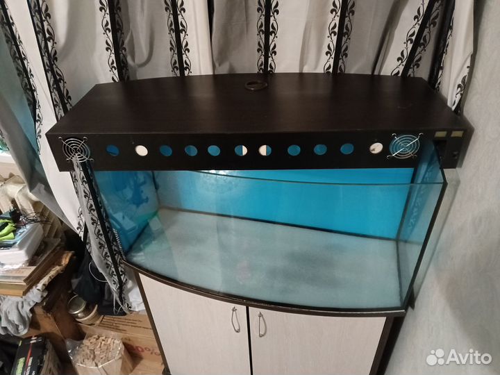 Аквариум и его декор