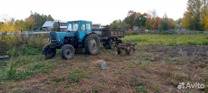 Трактор МТЗ (Беларус) 50, 1977