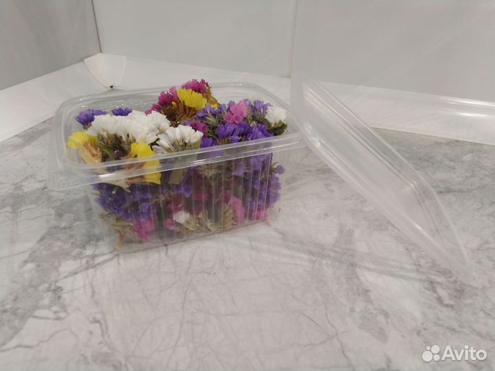 Статица сухоцветы