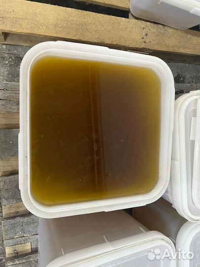 Мёд лесной качка 2023 год Опт