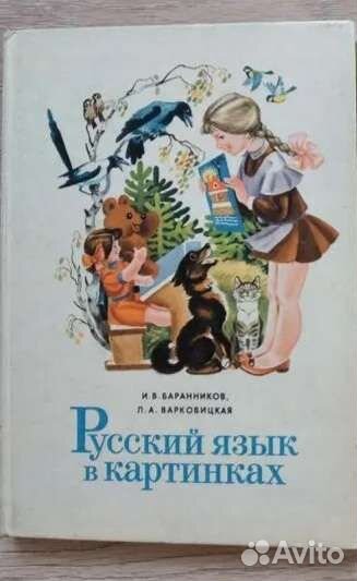 Учебное пособие Русский язык в картинках