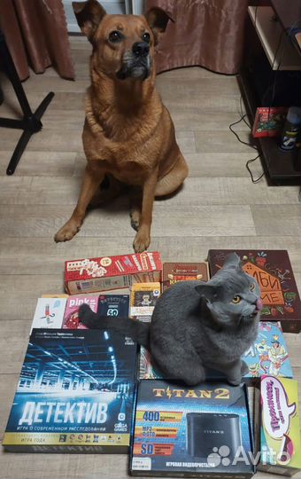 Настольные игры