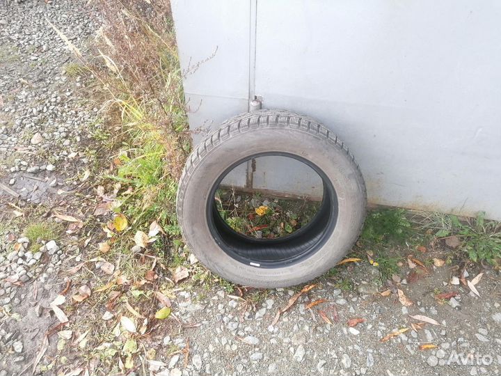 Nokian Tyres Nordman 7 205/60 R16 96T