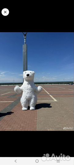 Белый мишка поздравление