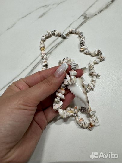 Новая цепь из натуральных ракушек