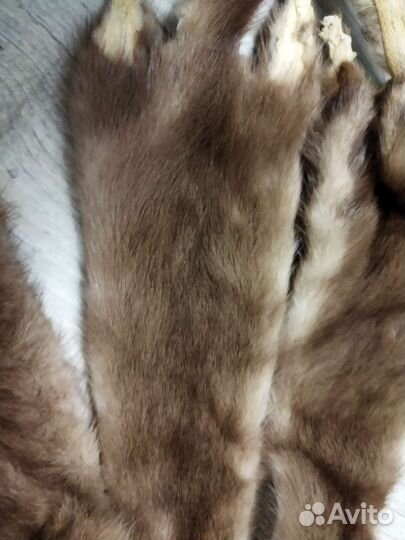 Шкурки норки