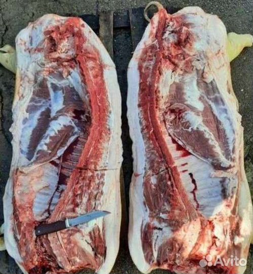 Мясо свинина