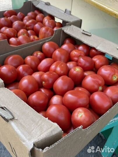 Помидоры сливка
